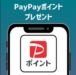 日本財託　PayPayポイント　不動産投資