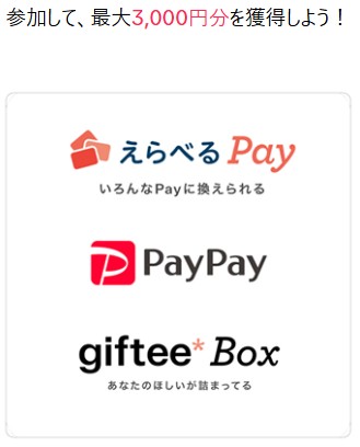TikTok Lite 3,000円　アマギフ　PayPay