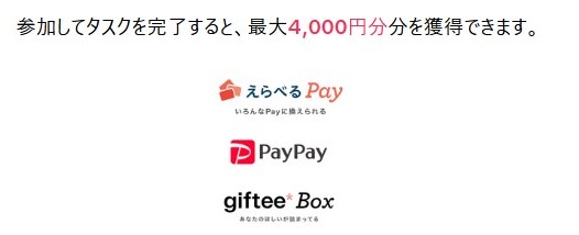 TikTok-Lite 4,000円　キャンペーン