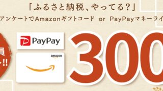 【1分で300円アマギフ】トラスティーパートナーズ！ふるさと納税・NISAのアンケート！条件や注意点を徹底解説